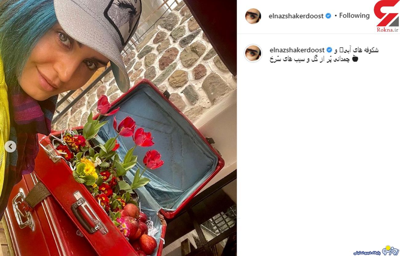 ظاهر جدید الناز شاکردوست با موهای رنگی در نوروز+عکس ظاهر جدید الناز شاکردوست با موهای رنگی در نوروز+عکس