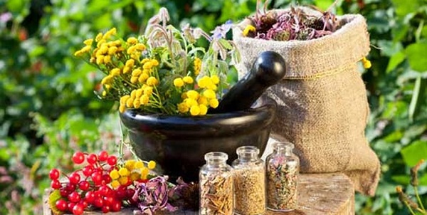 ۶ دمنوش مناسب برای درمان سرفه کرونایی ۶ دمنوش مناسب برای درمان سرفه کرونایی