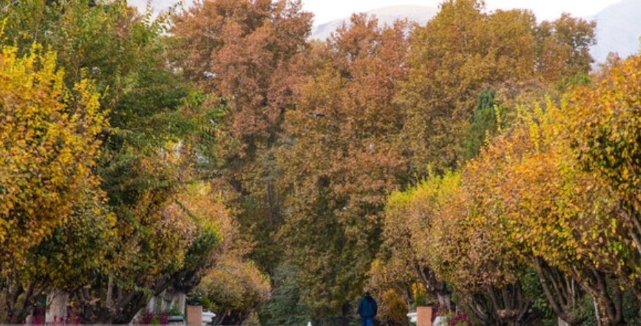افزایش دمای تهران طی چهار روز آینده افزایش دمای تهران طی چهار روز آینده