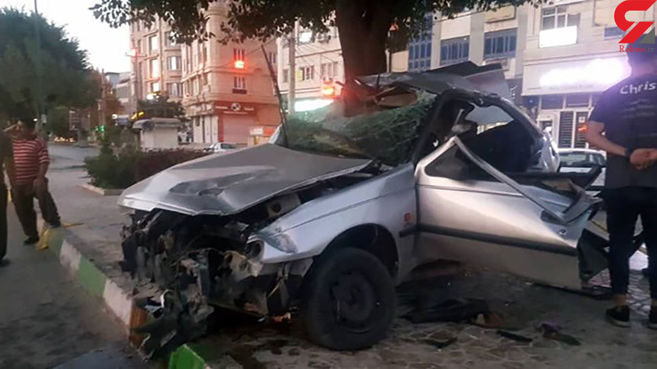 درختی که جان دو نفر در کرمانشاه را گرفت + جزییات درختی که جان دو نفر در کرمانشاه را گرفت + جزییات