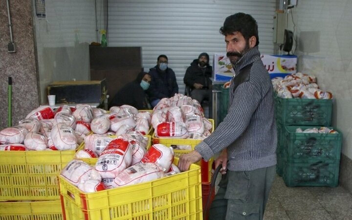 شوک جدید به قیمت مرغ در راه است؟ شوک جدید به قیمت مرغ در راه است؟