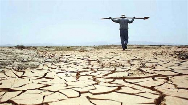 چشمها به سوی آسمان چشمها به سوی آسمان