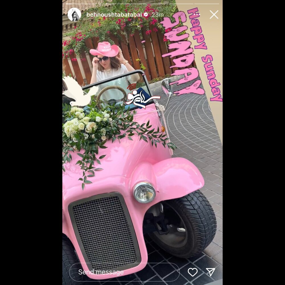 سوژه شدن ماشین صورتی بهنوش طباطبایی /عکس سوژه شدن ماشین صورتی بهنوش طباطبایی /عکس