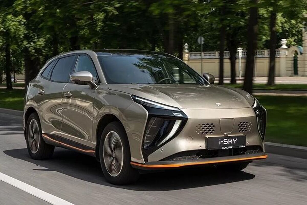 قیمت لاماری ۱۰۰ میلیون تومان گران شد قیمت لاماری ۱۰۰ میلیون تومان گران شد