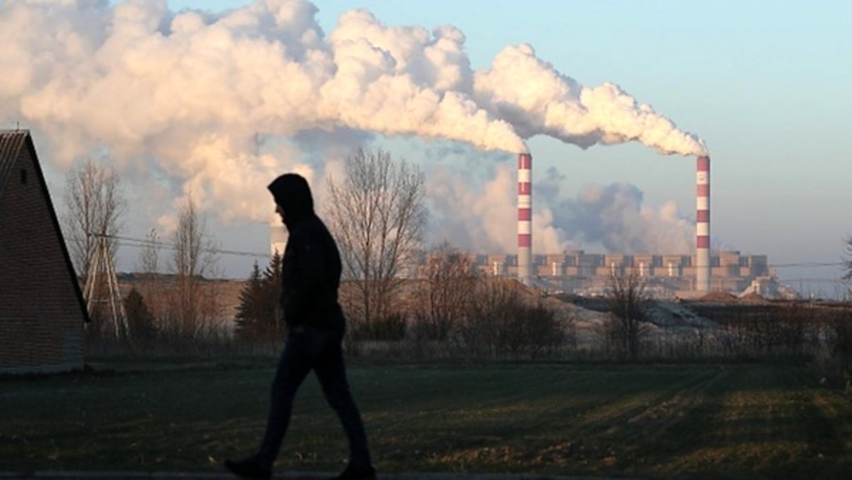 در تهران مازوتسوزی داریم؟ در تهران مازوتسوزی داریم؟