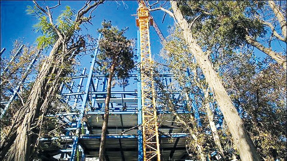 کابوس درختان تهران کابوس درختان تهران