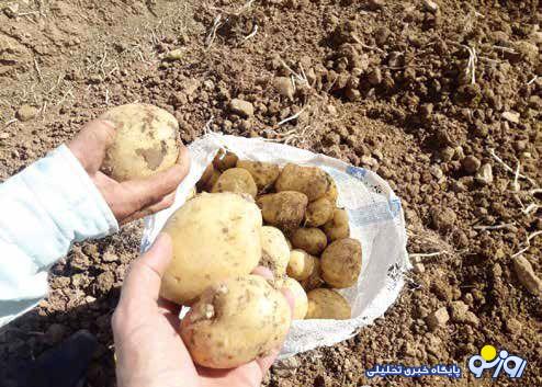 سفرههایی که با گرانی ۱۰۰درصدی پهن میشوند سفرههایی که با گرانی ۱۰۰درصدی پهن میشوند