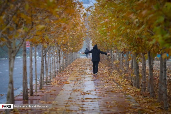 پیشبینی هواشناسی که خاطرات رمانتیک پاییز را نابود میکند