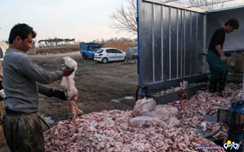 پشت پرده جمع آوری ضایعات مرغ در سطح شهر/ضایعات مرغ چه میشود؟ پشت پرده جمع آوری ضایعات مرغ در سطح شهر/ضایعات مرغ چه میشود؟