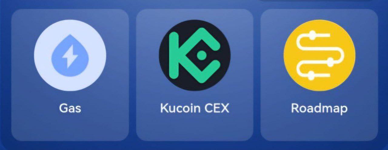 کارت های تپ کوین امروز ۱ آذر برای جایزه ۳۲۰ هزاری کارت های تپ کوین امروز ۱ آذر برای جایزه ۳۲۰ هزاری