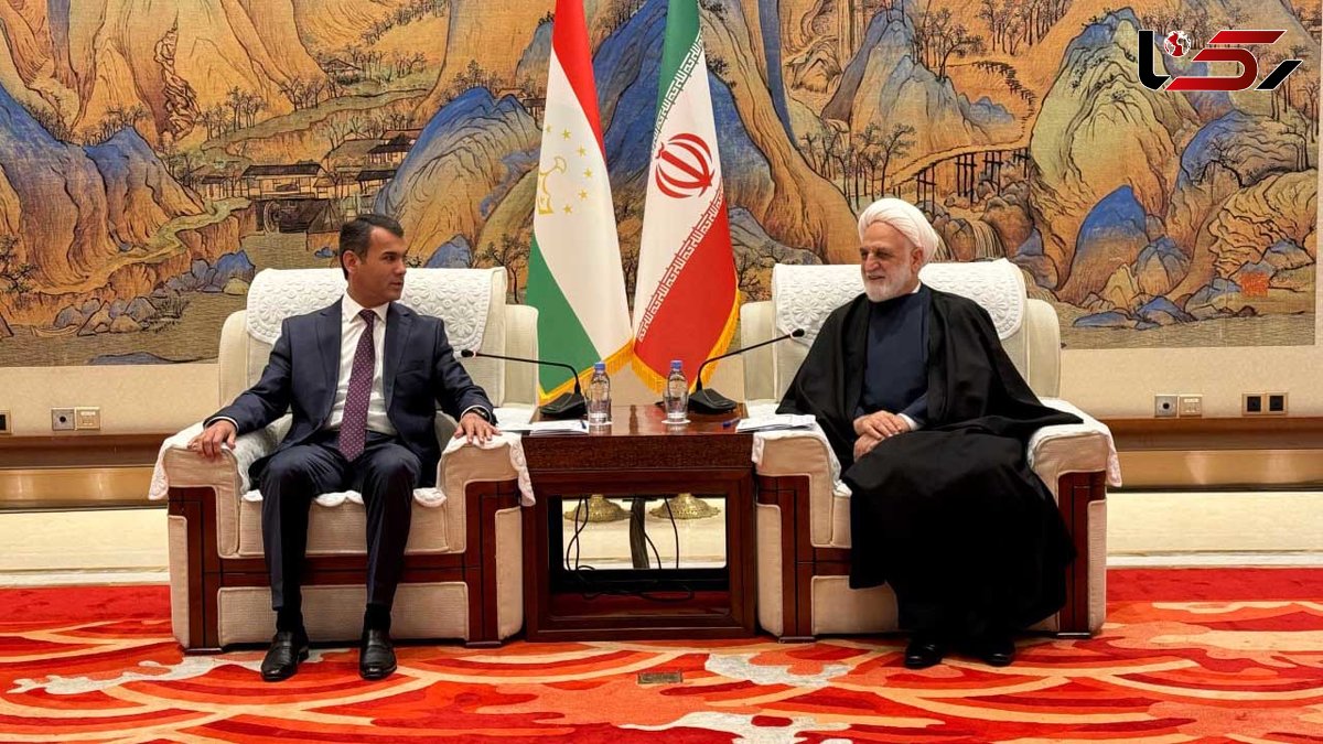 دیدار محسنی اژه ای با عالیترین مقام های قضایی تاجیکستان و قزاقستان دیدار محسنی اژه ای با عالیترین مقام های قضایی تاجیکستان و قزاقستان