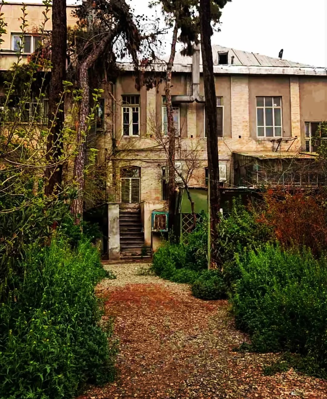 photo_2025-06-07_13-28-35 (2)