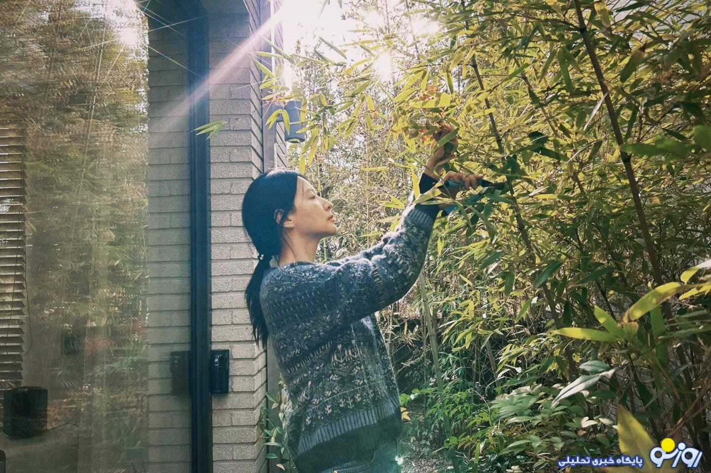 آمادگی یانگوم برای کریسمس! آمادگی یانگوم برای کریسمس!